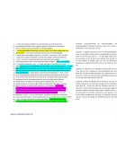 Entrevista transcrita.