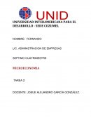 Microeconomia: Crisis Financieras