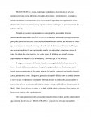 Apuntes acerca BAÑOS TOURS S.A