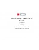 Desarrollo histológico de la célula