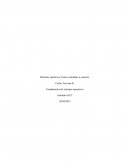 Sistemas operativos Linux orientados a usuarios. Fundamentos de sistemas operativos