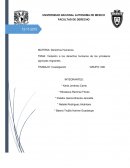 VIOLACION A LOS DERECHOS HUMANOS DE LOS JORNALEROS AGRICOLAS MIGRANTES.