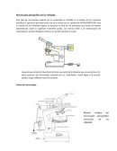 Microscopio petrografico de luz reflejada