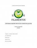 TIPOS DE FILAMENTOS Y CARACTERISTICAS