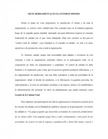 SIETE HERRAMIENTAS EN EL ENTORNO MINERO. Página 1