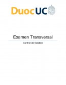Examen Transversal Control de Gestión