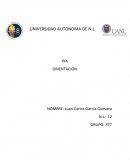 ENSAYO DE PIA DE ORIENTACIÓN
