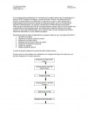 HACCP (Análisis de Peligros y Control de Puntos Criticos)