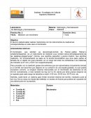 Practica No: 2 Título: Medición con micrómetro