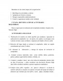 Las cuatro etapas de la organización