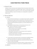 CASO PRÁCTICO: TIGER-TREAD