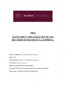 ESCENARIO Y ORGANIZACIÓN DE LOS RECURSOS HUMANOS EN LA EMPRESA.