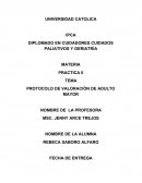 PROTOCOLO DE VALORACIÓN DE ADULTO MAYOR