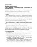Calor de combustión de Combustibles Líquidos de Hidrocarburos por Bomba Calorimétrica