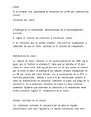 Funciones del calcio.