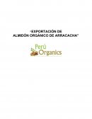 Peru Organics S.A.C: Comercialización de almidón orgánico de Arracacha