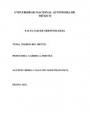 TEMA: TEJIDOS DEL DIENTE.