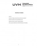 Ensayo estudio de la OCDE- Sistema Nacional de Salud- México.
