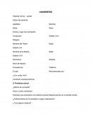 Anamnesis, Historial clínico – adulto.