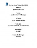 La División Del Trabajo.