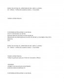 DIDÁCTICAS PARA EL APRENDIZAJE DEL ARPA LLANERA EN NIÑOS Y NIÑAS DE SABANALARGA - CASANARE