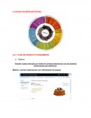 RUEDA DE MERCADOTECNIA PLAN DE PRODUCTO CONSUMIDOR