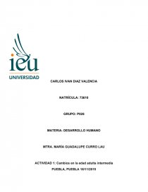 CAMBIOS PSICOSOCIALES, COGNITIVOS Y LABORALES. Página 1