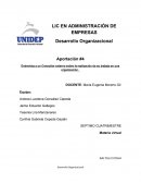 Aportación #4 Entrevista a un Consultor externo sobre la realización de su trabajo en una organización