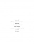 Estructura organizacional de una empresa: Fundamentos de la Administracion