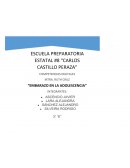 Embarazo en la adolescencia. Encuestas con listas despegables