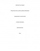 MACROECONOMIA: PROPUESTA DE GRADO
