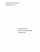 Administración del capital de trabajo.