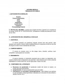 INFORME MENSUAL DE TRIBUNALES DE FAMILIA