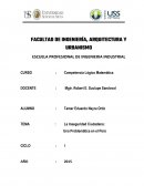 La inseguridad ciudadana en el Peru