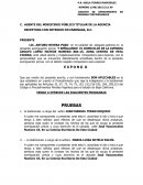 ESCRITO DE OFRECIMIENTO DE PRUEBAS TESTIMONIALES