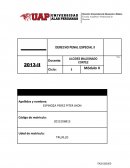 DERECHO PENAL ESPECIAL