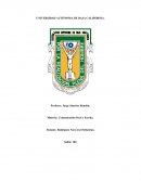 Comunicación Oral y Escrita.