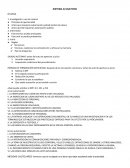 GUIA PARA ENTENDER EL SISTEMA ACUSATORIO EN MÉXICO