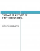 Los grandes Sistema de protección social