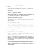 CASO MINERA CERRO ALTO