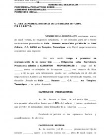 FORMATO ALIMENTOS PROVISIONALES. Página 1