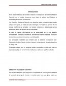 DERECHOS REALES TRABAJO - COMPLETO