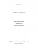 MOTO TUNINNG MECANICA DE MOTOCICLETAS