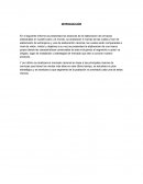 Como es la Politica de empresas