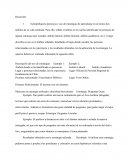 Uso de estrategias de aprendizaje en al menos dos ámbitos de su vida cotidiana