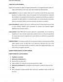 Derecho Mercantil: junta general de acreedores