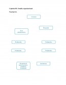 Estudio organizacional.