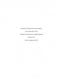 Sistemas de protección de seguridad industrial