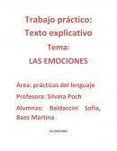 Práctica sobre las emociones.