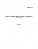 La gran Corrección de protocolo WAIS IV y análisis de puntajes en un caso ficticio